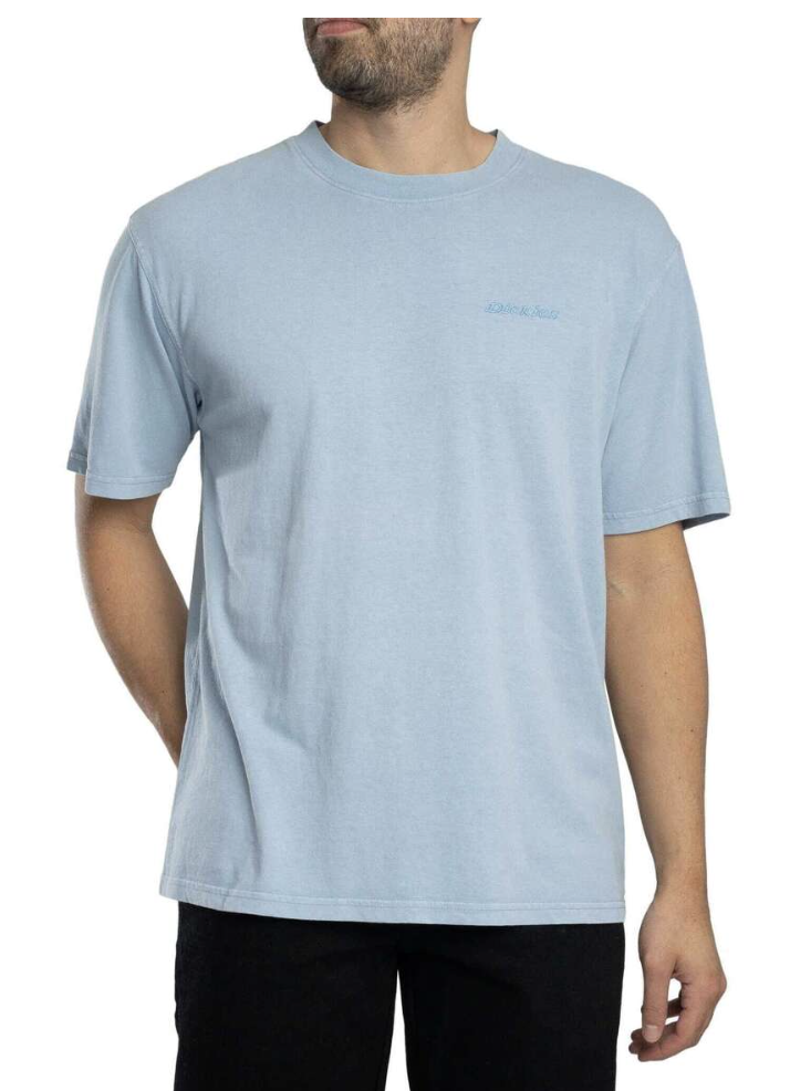 Camiseta Dickies Plentywood - Endless Sky