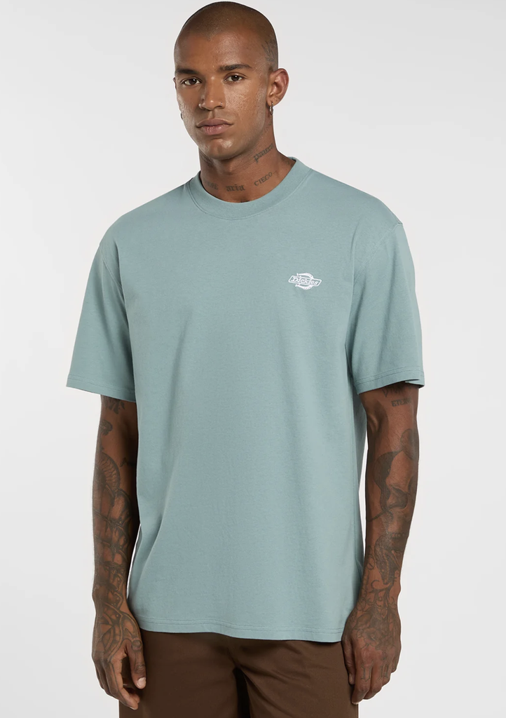 Camiseta Dickies Summerdale - Stormy