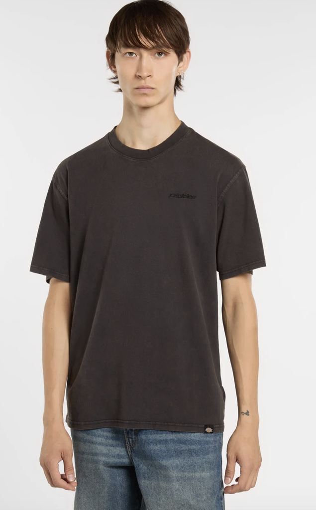 Camiseta Dickies Plentywood -Negro
