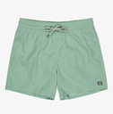 Bañador Billabong All Day 16" - Green Ash (ggv0)