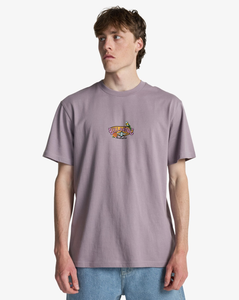 Camiseta Billabong Origin - Purple Ash (skw0)