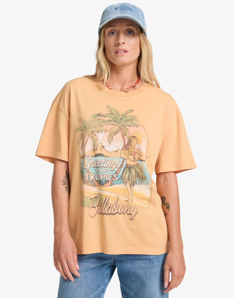 Camiseta Billabong Vibe Time - Clay (cly)
