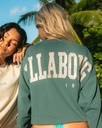 Sudadera Billabong Dont Forget - Alpine (apn)