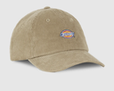 Gorra Dickies Pana Hardwick Cord - Beige