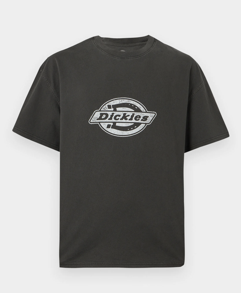 Camiseta Dickies Plainville - Black