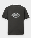 Camiseta Dickies Plainville - Black
