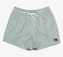 Bañador Quiksilver Everyday Deluxe 15" - Forest (grt0)