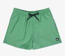 Bañador Quiksilver Everyday Deluxe 15" - Leprechaun (gnz0)