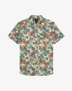 Camisa RVCA Botanical - Ceramic