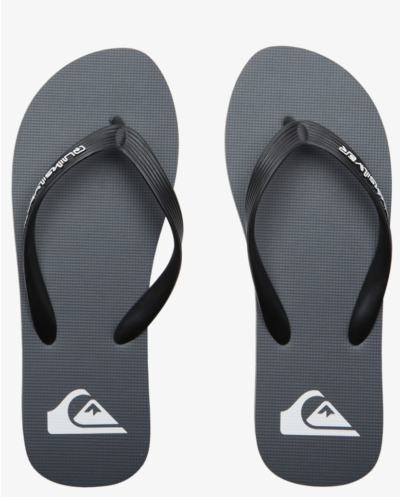 Chanclas Quiksilver Molokai Core - Grey 1