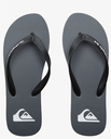 Chanclas Quiksilver Molokai Core - Grey