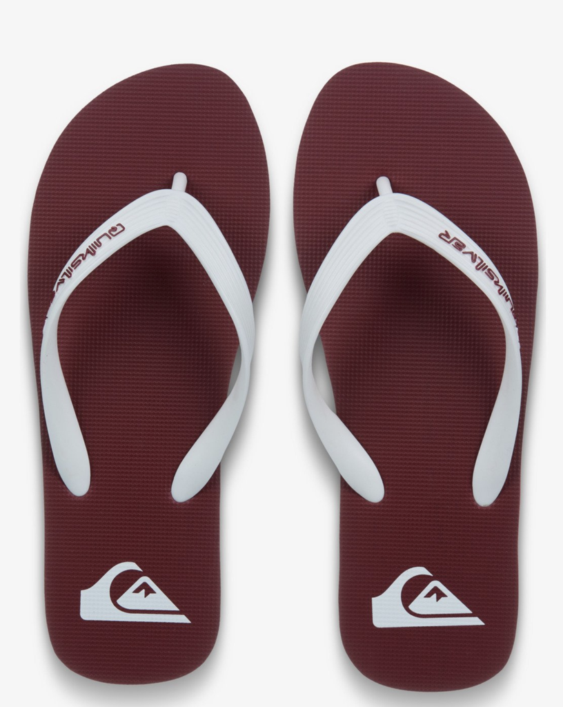 Chanclas Quiksilver Molokai Core - Burnt Russet