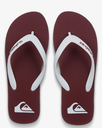 Chanclas Quiksilver Molokai Core - Burnt Russet