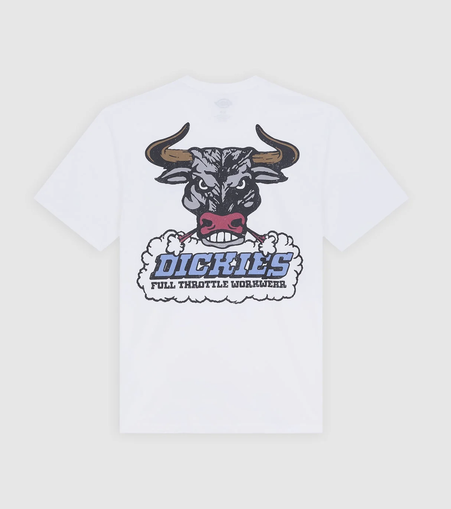 Camiseta Dickies Lakeridge - White