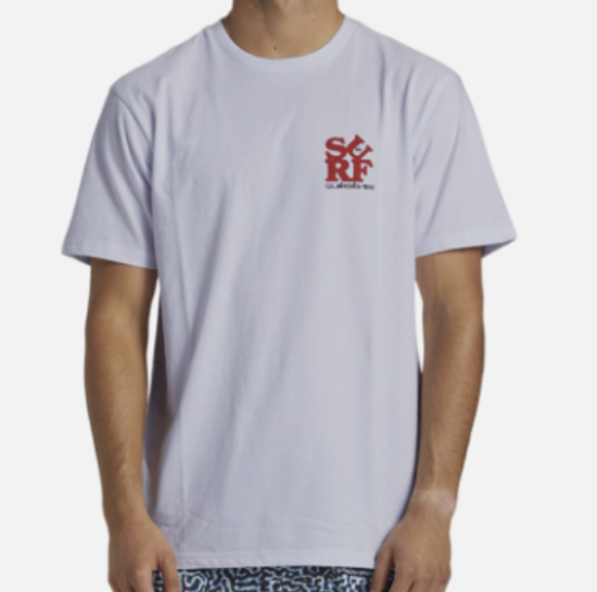 Camiseta Quiksilver Surf Moe - White
