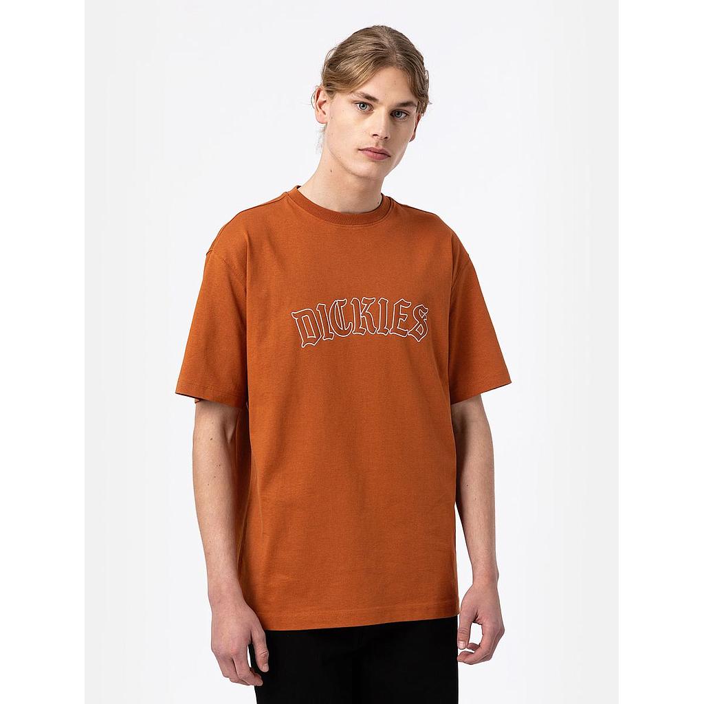 Camiseta Dickies Union Springs