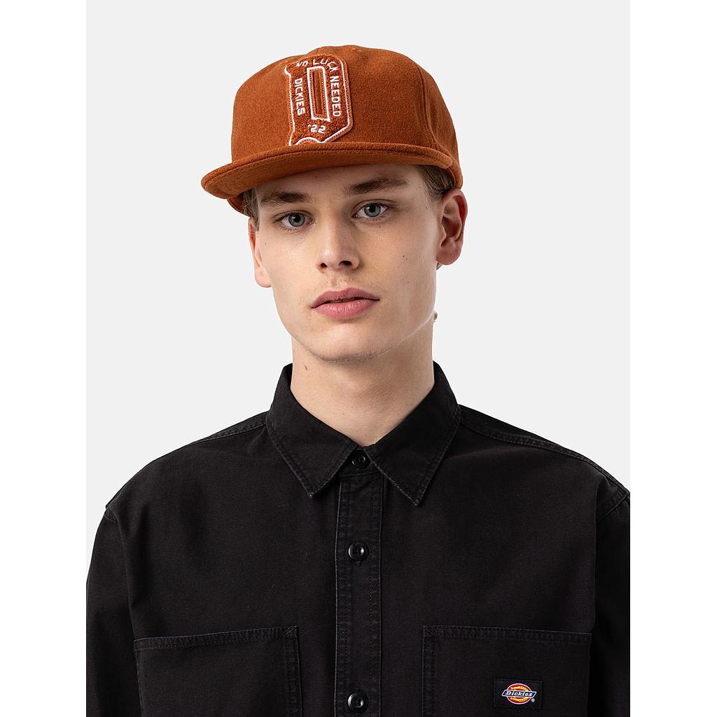 Gorra Dickies Union Springs
