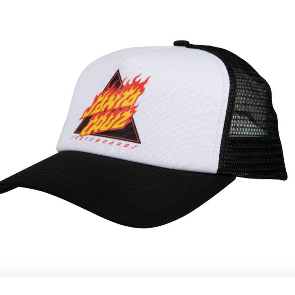 Gorra Santa Cruz Flamed Not a Dot Meshback
