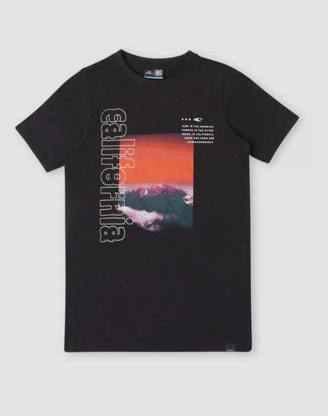 Camiseta O'Neill Cali Mountains