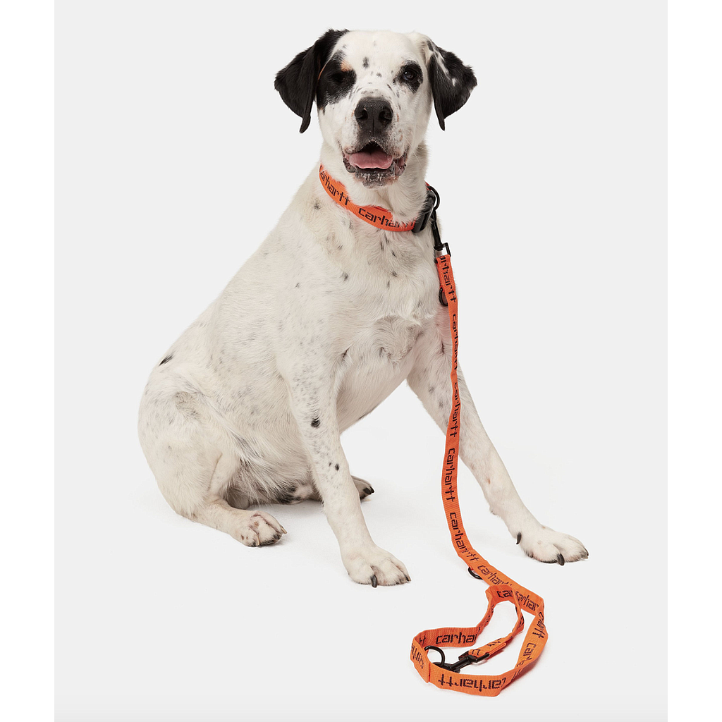 Correa Carhartt WIP Dog Leash &amp; Collar