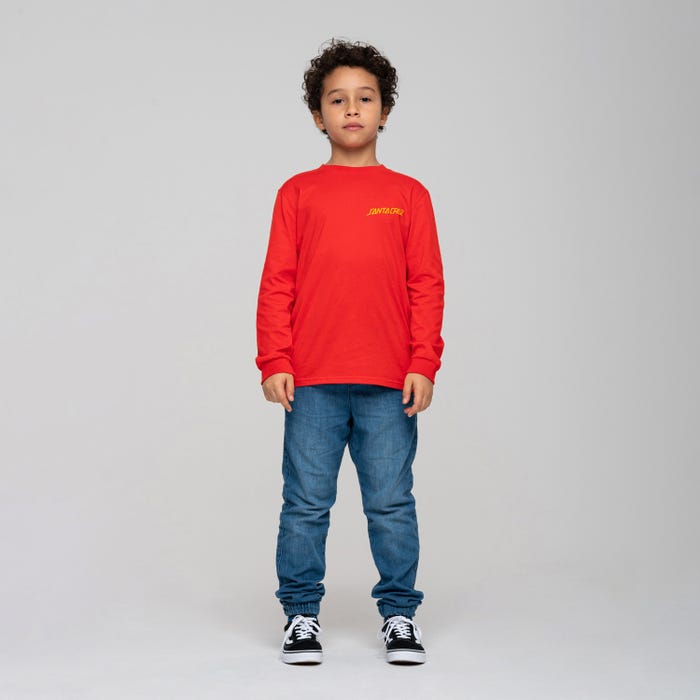Camiseta Santa Cruz L/S Shadowless Dot