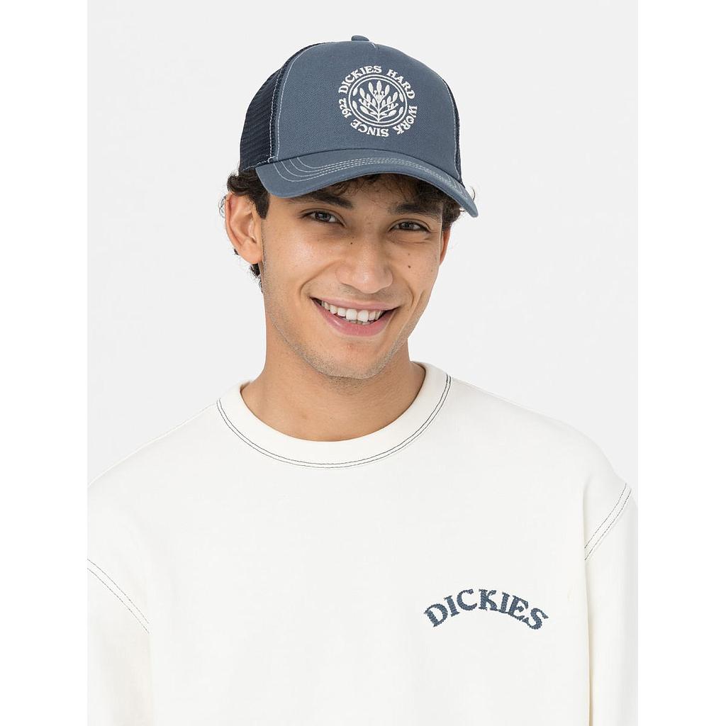 Gorra Dickies Beavertown