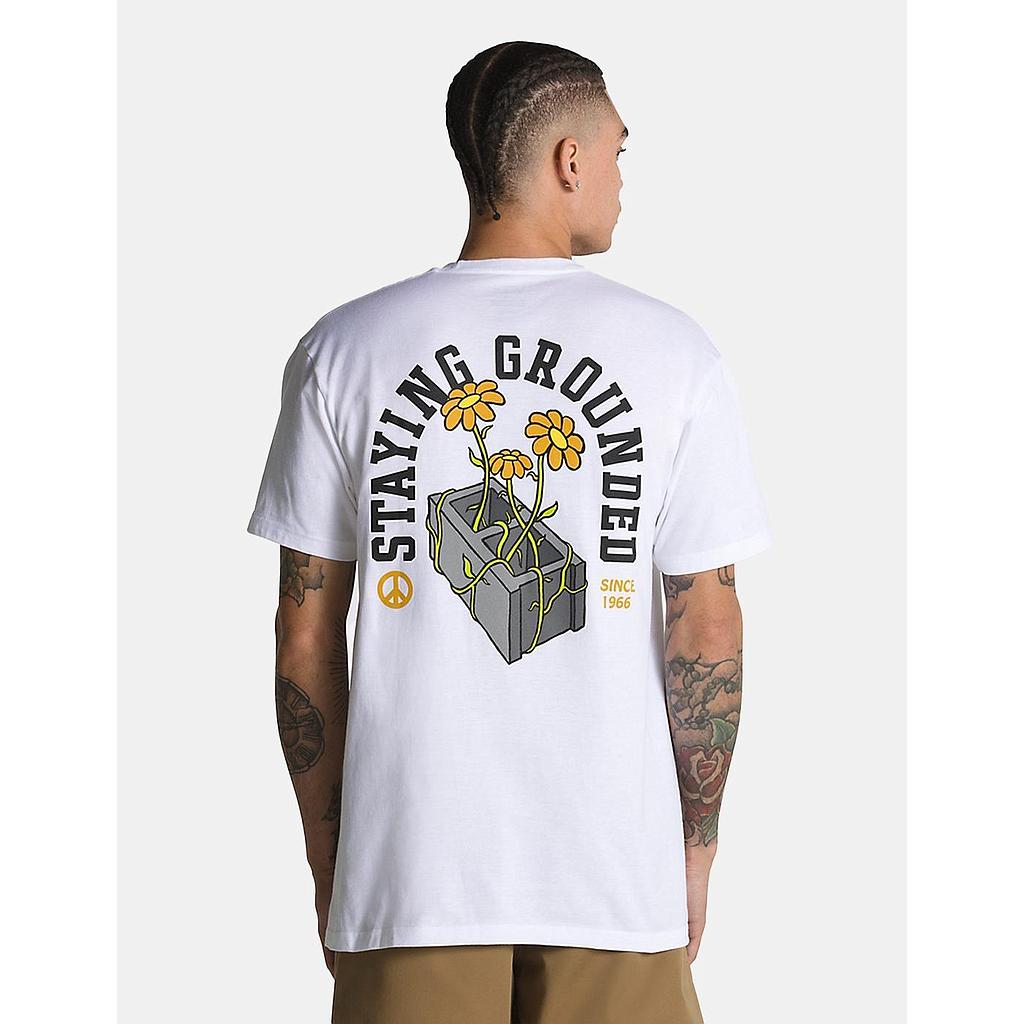 Camiseta Vans Staying Grounded