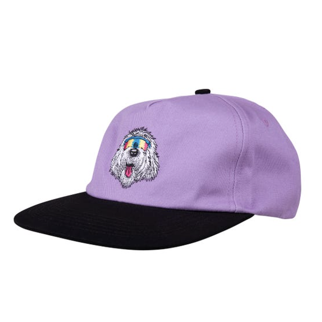 Gorra Santa Cruz McCoy Donut Dog - Digital Lavender