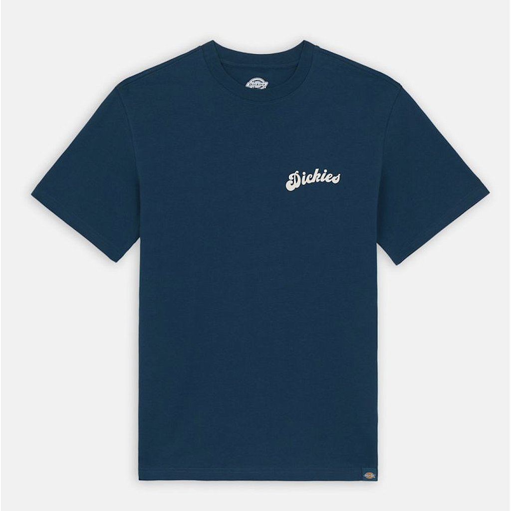 Camiseta Dickies Grainfield Reflecting - Pond