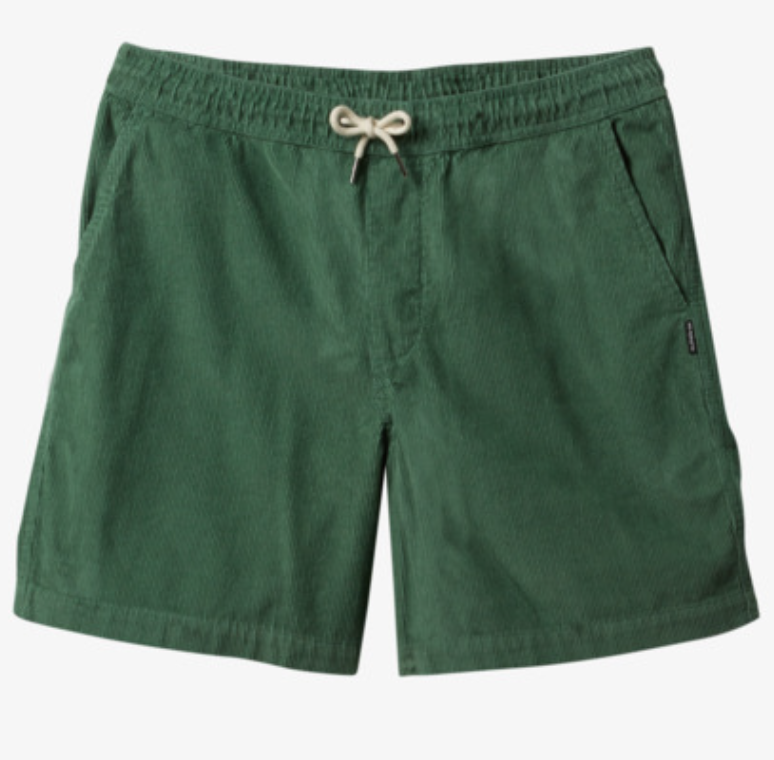 Pantalon Corto de Pana Quiksilver Taxer Cord - Frosty Spruce