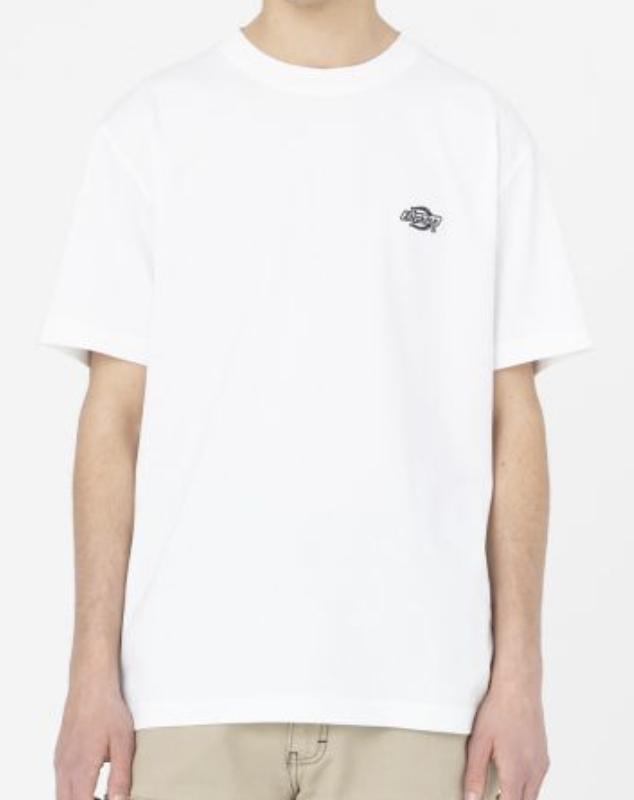 Camiseta Dickies Summerdale - White