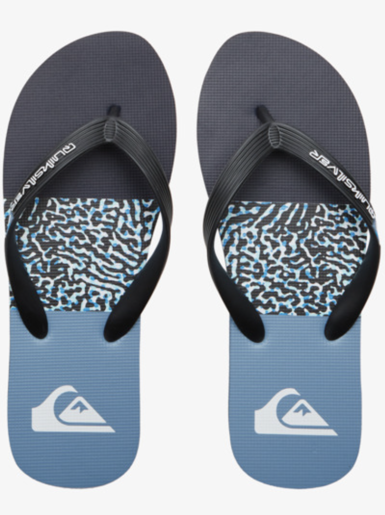 Chanclas Quiksilver Molokai Stripe - Navy