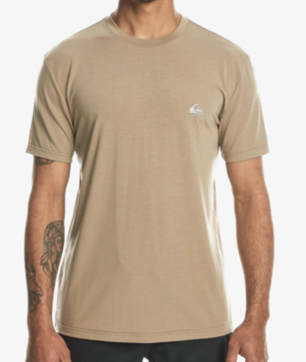 Camiseta Quiksilver Coastal Run - Timber Wolf