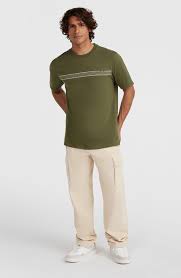 Camiseta O´neill Ikat Stripe T-Shirt - Green (Forest Night)