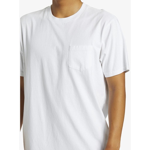 Camiseta Quiksilver Saltwater - White (WBB0)