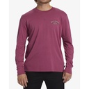 Camiseta Billabong Arch Wash - Jam (MQS0)