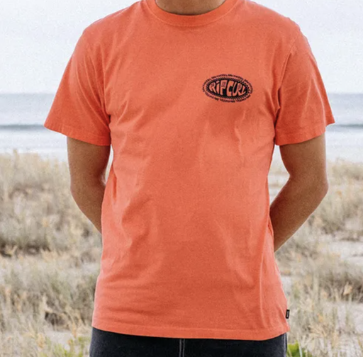 Camiseta Rip Curl Raw Energy De Oval - Rose Sky