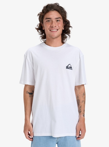 Camiseta Quiksilver Ev Mini Logo - White (wbb0)
