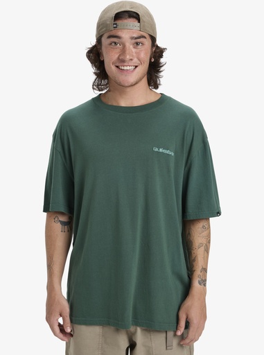 Camiseta Quiksilver Salt Water - Trekking Green (tkr)