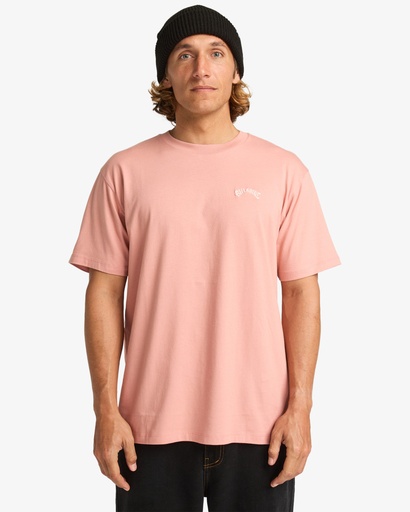 Camiseta Billabong Arch Crew - Ash Rose