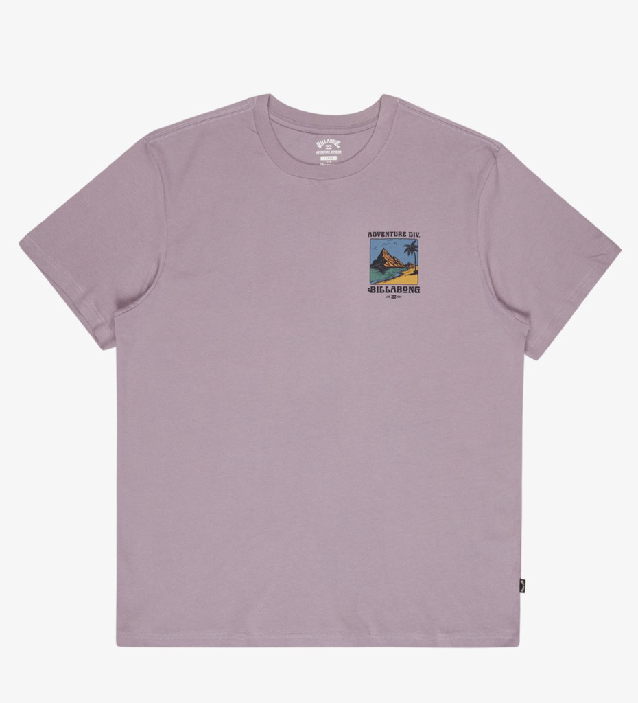 Camiseta Billabong Post Cards A/Div Premium - Purple Ash