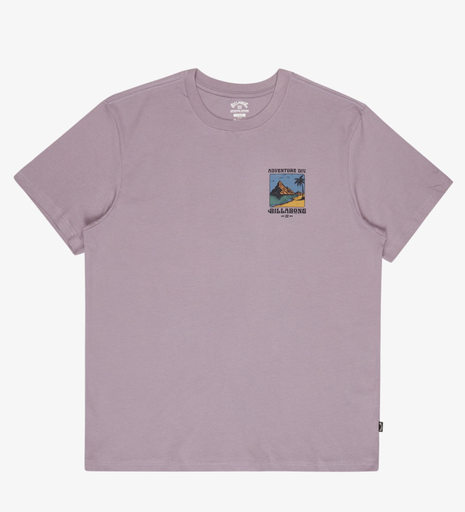 Camiseta Billabong Post Cards A/Div Premium - Purple Ash
