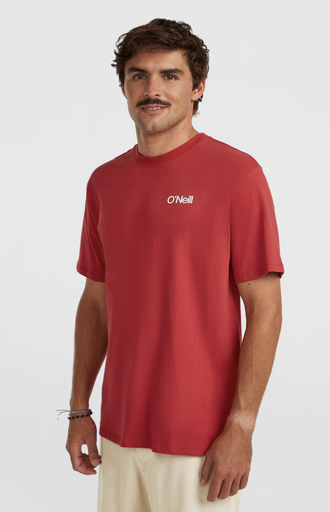 Camiseta O'neill Polygiene Cotton Graphic - Midnight Poppy