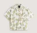 Camisa Vans Van Doren Print - Soft Sage Green