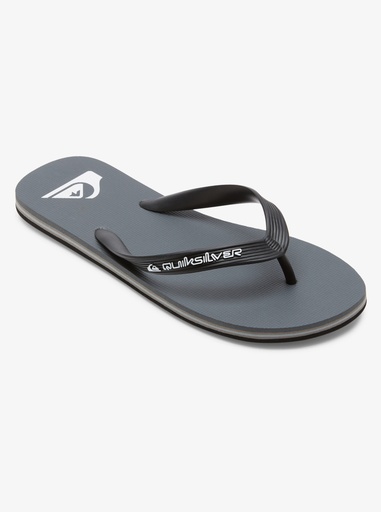 Chanclas Quiksilver Molokai Core - Grey