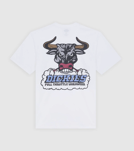 Camiseta Dickies Lakeridge - White