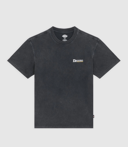 Camiseta Dickies Gainesville - Black