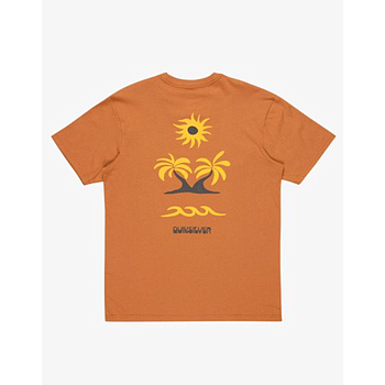 Camiseta Quiksilver Evo Road - Bran