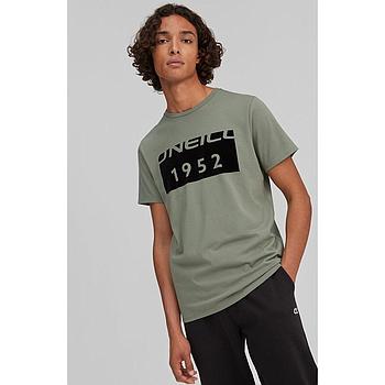 Camiseta O'neill Block - Agave Green