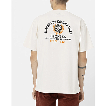 Camiseta Dickies Westmoreland Tee - Whitecap